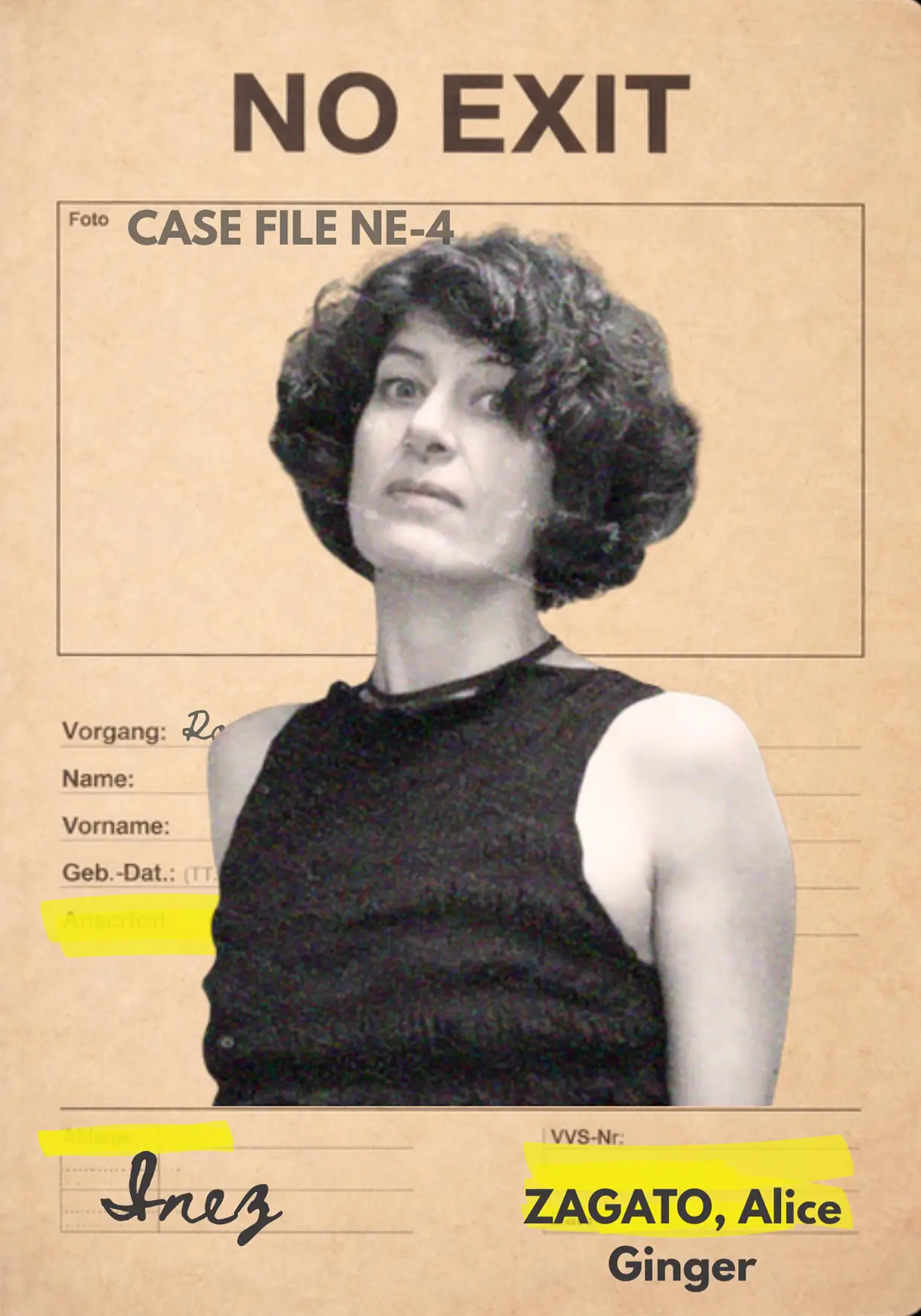 Ines case file